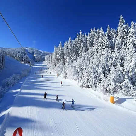 Host2u New 2 Bd, Fireplace, Free Parking Lejlighed Bansko