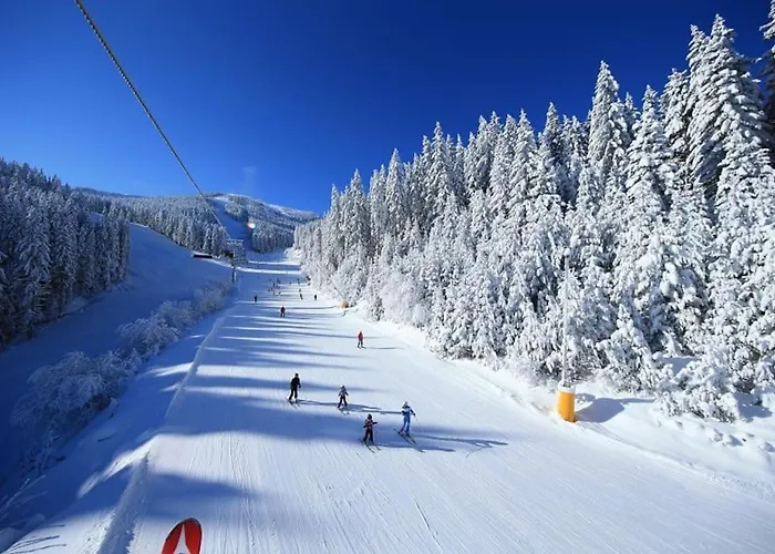 Host2u New 2 Bd, Fireplace, Free Parking Apartment Bansko